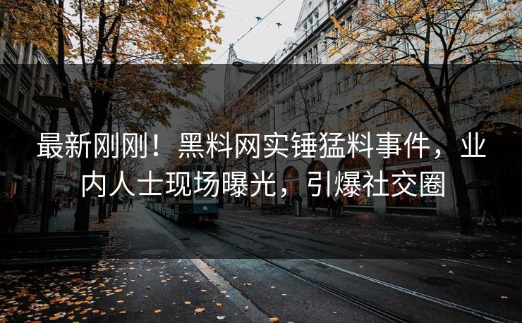 最新刚刚！黑料网实锤猛料事件，业内人士现场曝光，引爆社交圈