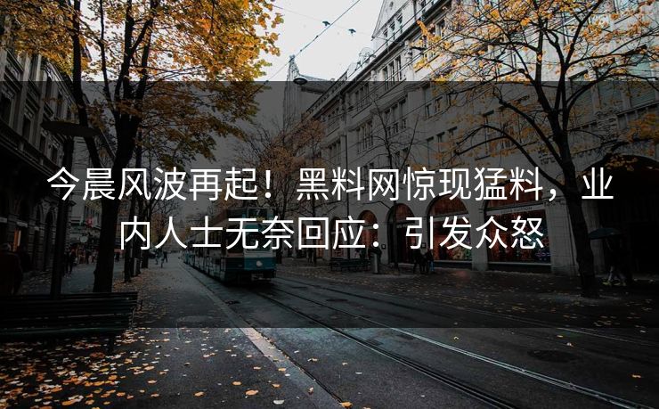 今晨风波再起！黑料网惊现猛料，业内人士无奈回应：引发众怒