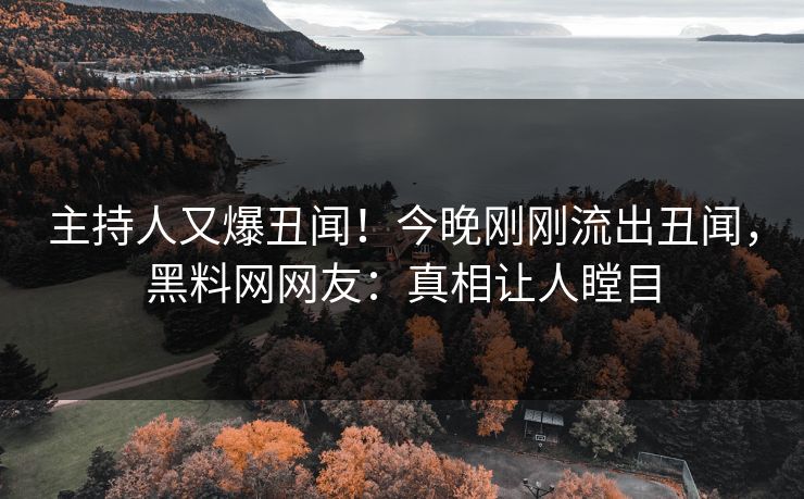主持人又爆丑闻！今晚刚刚流出丑闻，黑料网网友：真相让人瞠目