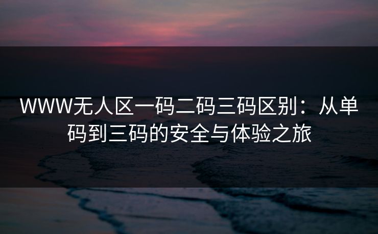 WWW无人区一码二码三码区别：从单码到三码的安全与体验之旅