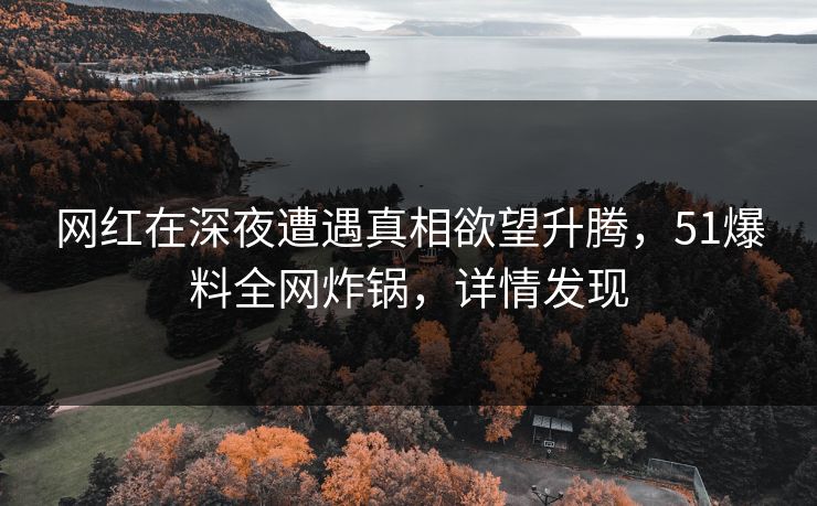 网红在深夜遭遇真相欲望升腾，51爆料全网炸锅，详情发现