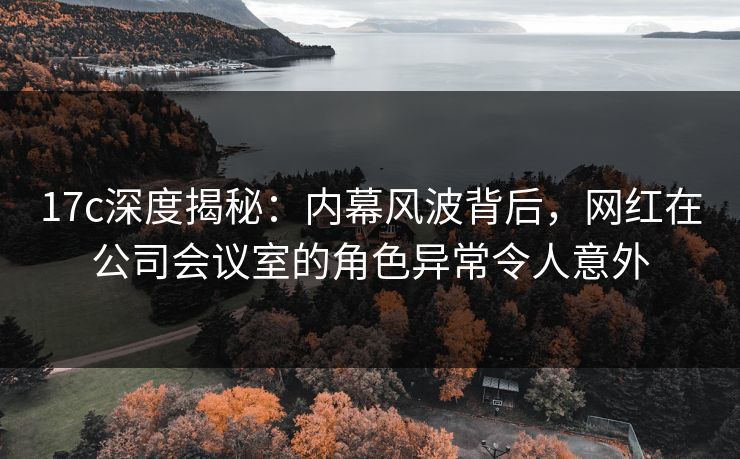17c深度揭秘：内幕风波背后，网红在公司会议室的角色异常令人意外