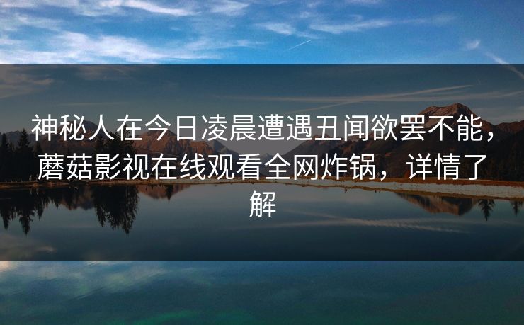 神秘人在今日凌晨遭遇丑闻欲罢不能，蘑菇影视在线观看全网炸锅，详情了解