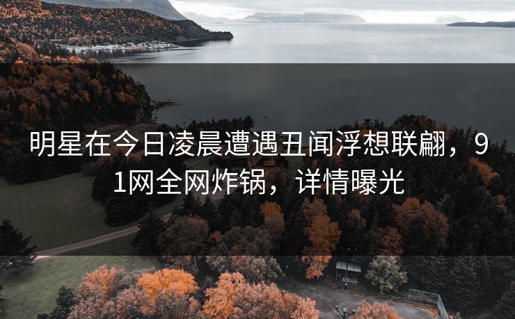 明星在今日凌晨遭遇丑闻浮想联翩，91网全网炸锅，详情曝光